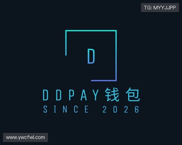 认识DDpay钱包